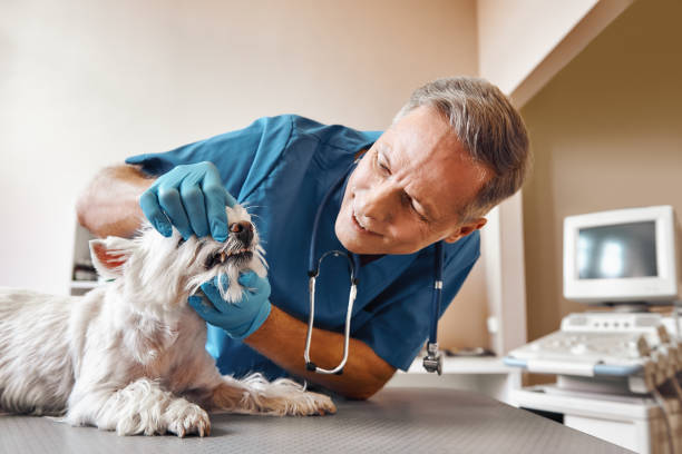 Best Dentist for Tooth Abscess  in Leesburg, FL